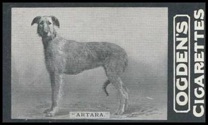 164 Artara